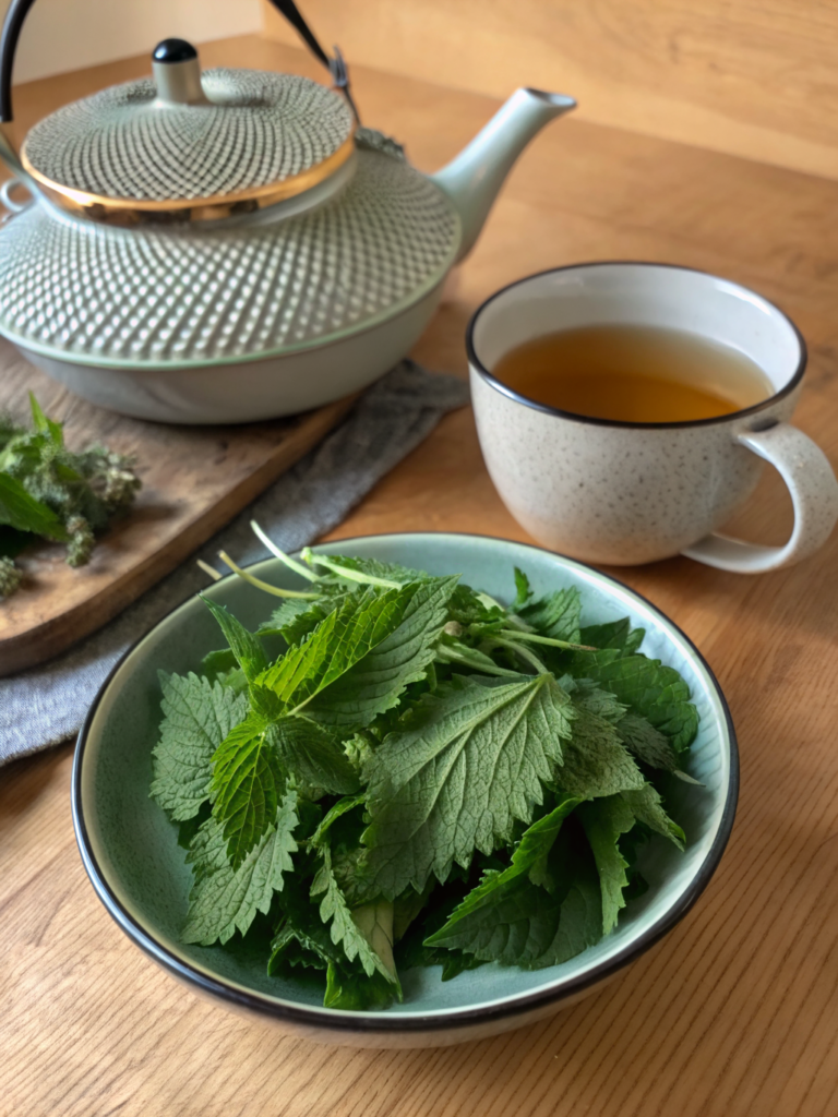 Easy Homemade Nettle Tea in 10 Minutes